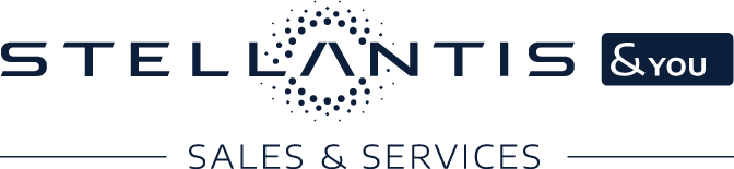 Logo S&Y color