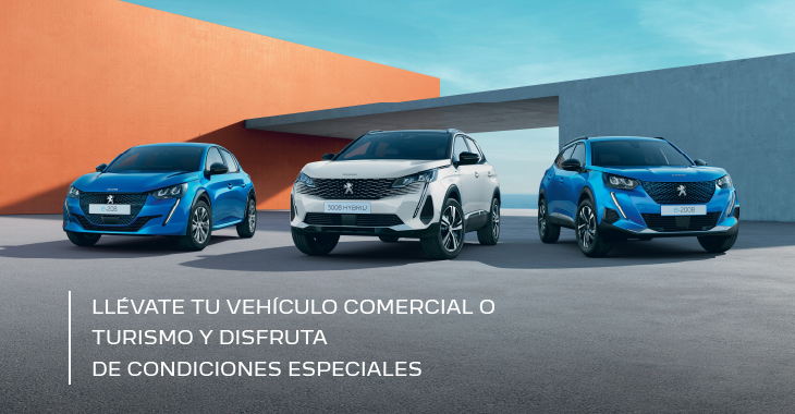 Peugeot Profesional